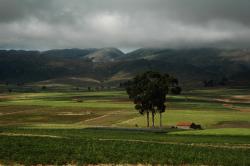 2-paysage-route-a-morado
