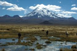 13-Paysage-le-Sajama-route-vers-le-chili