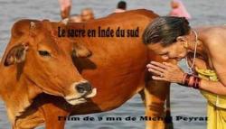A-la-rencontre-de-l-Inde-du-sud-04